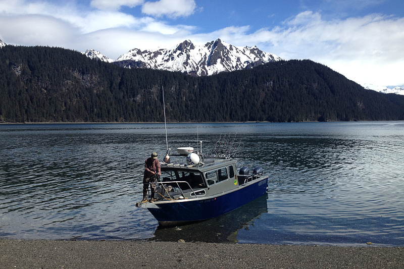 Gotta Fish Charters Alaska Halibut and Salmon Fishing Charter