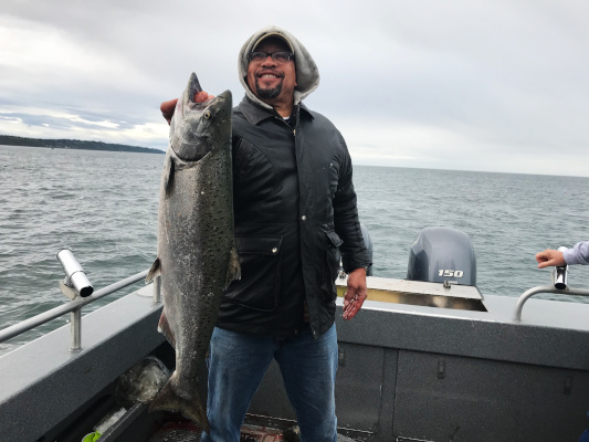 Kenai Peninsula King Salmon