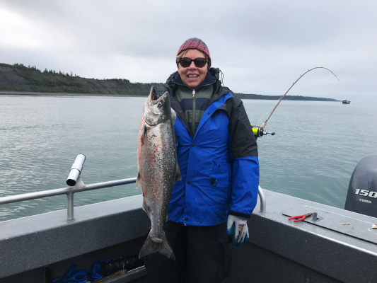 Cook Inlet King Salmon