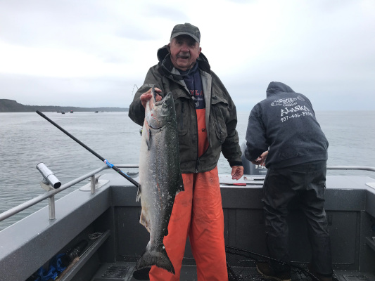 Big Alaskan King Salmon