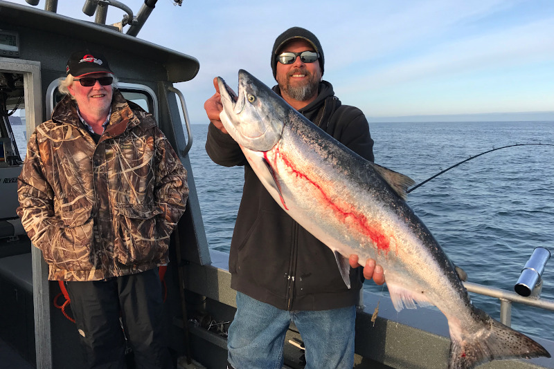 A king salmon on Cook Inlet on the Kenai Peninsula fishing with Gotta Fish Charters