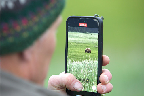 Man taking picture of bear in Lake Clark National Park