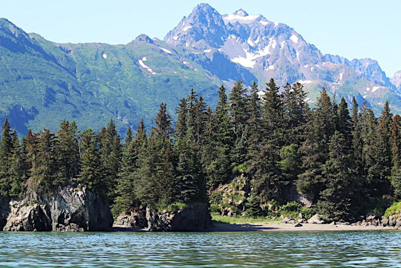 View of Chinitna Bay