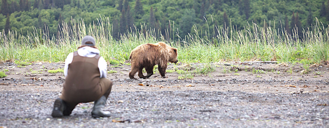 Photographer taking pictures of a bear on bear viewing trip