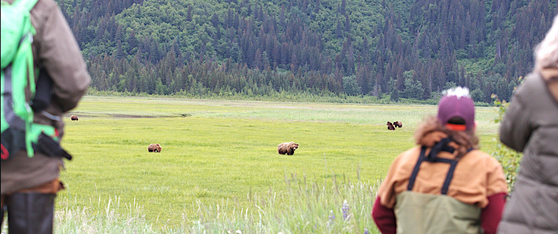 Bear viewing in Lake Clark National Park Alaska